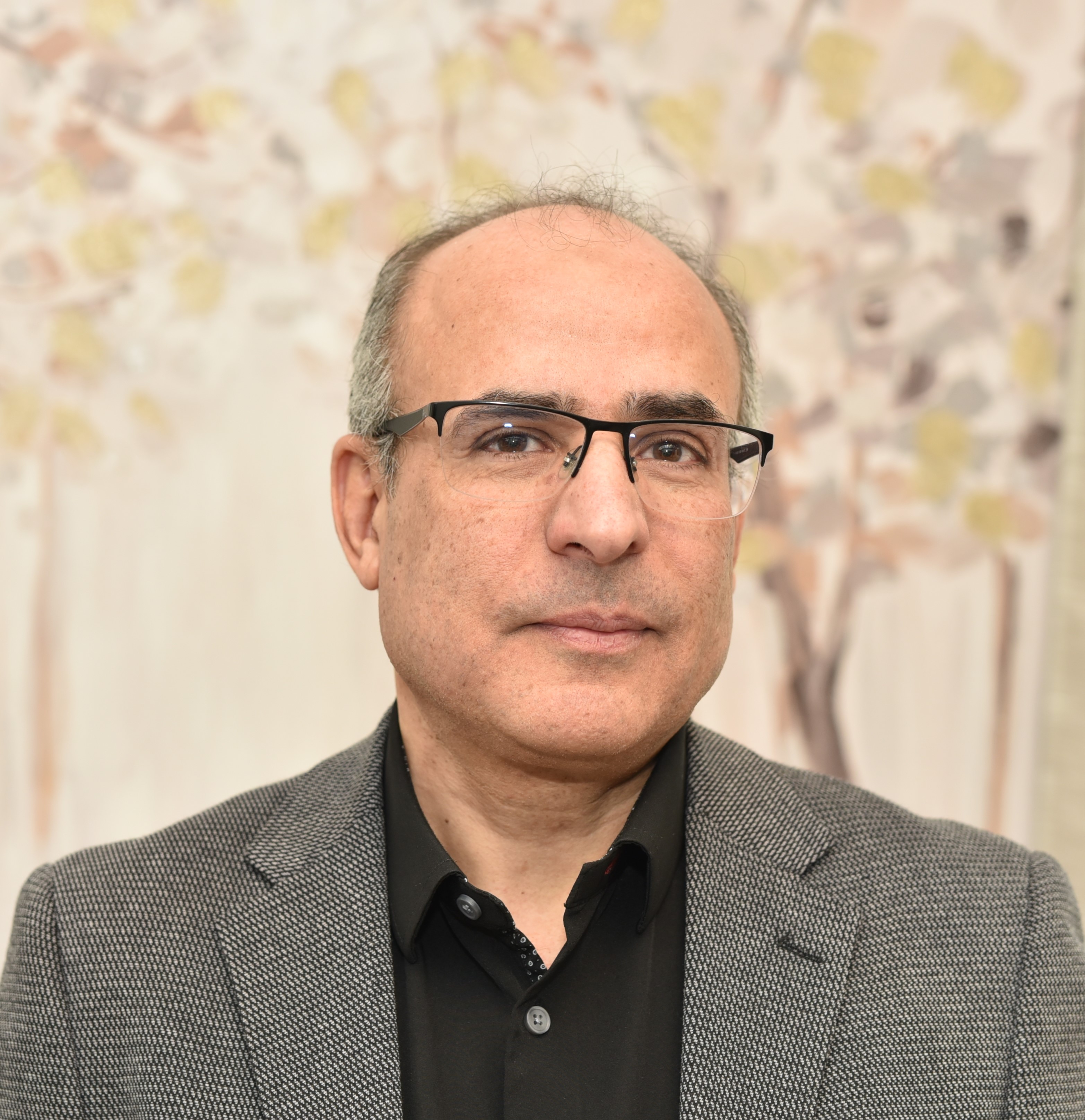 Dr. Alaa Khamis